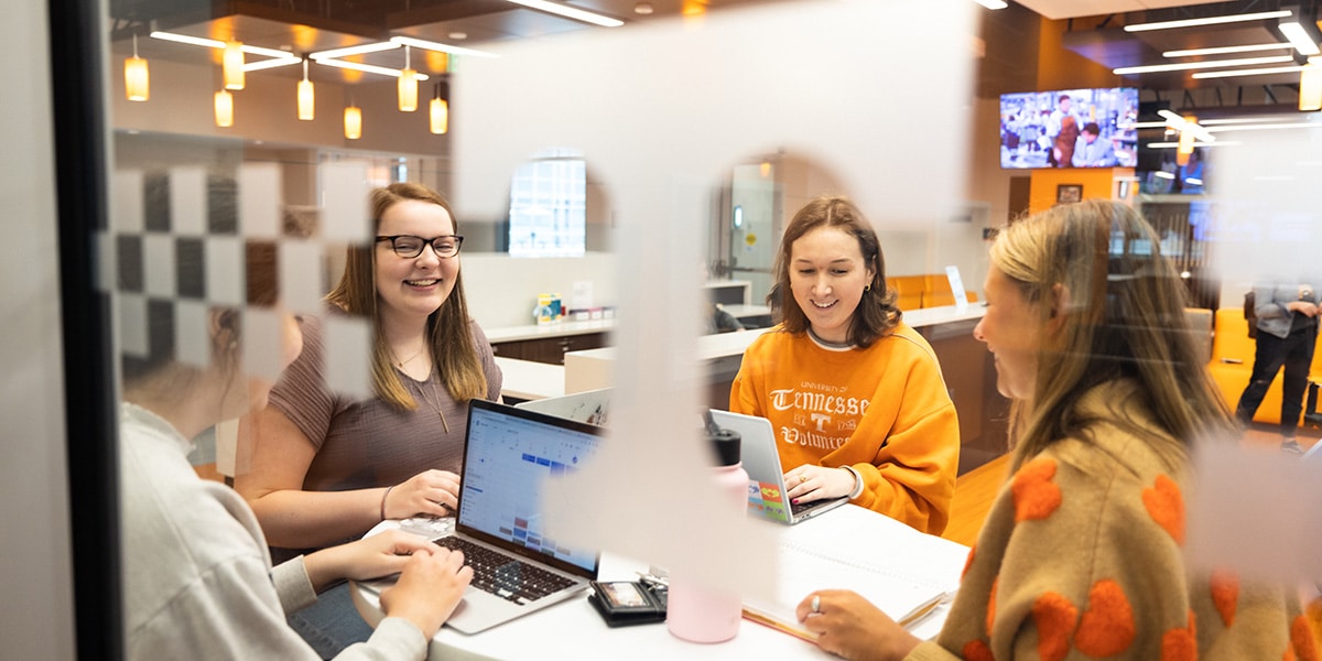 Students study in the student union