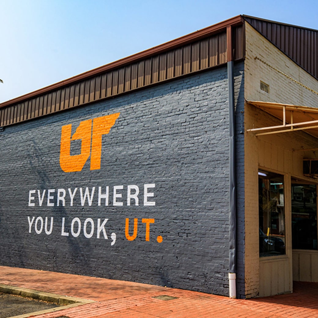 Everywhere You Look UT mural on the side of a building