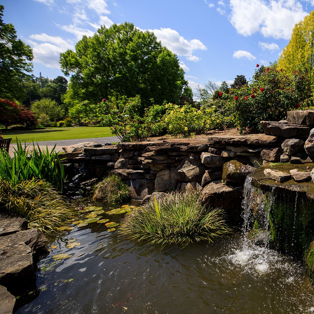 A small body of water surrounded by lush greenery