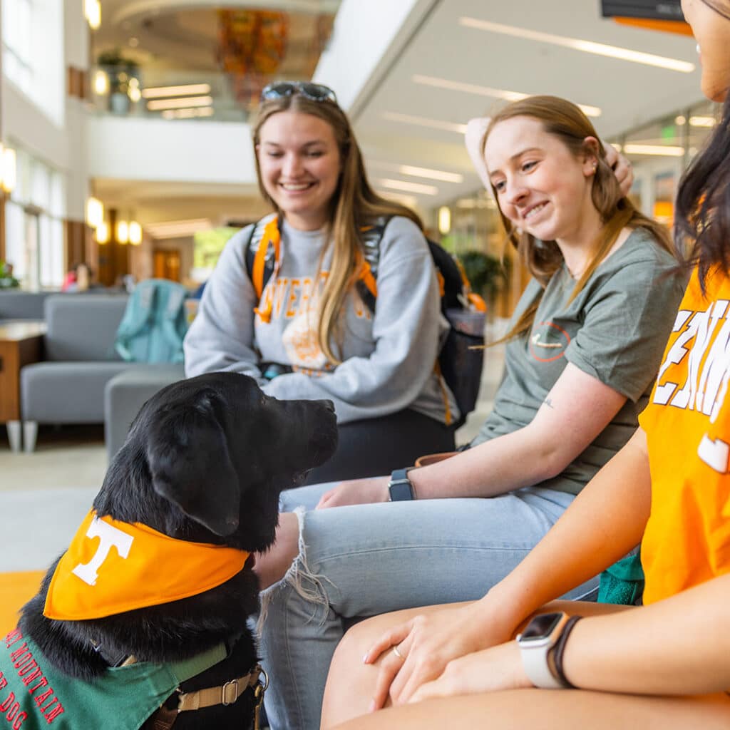 College students interact with a therapy dog