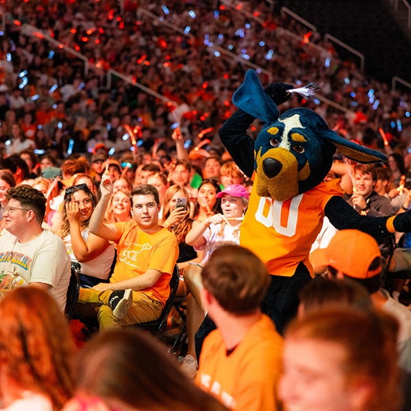 Smokey the mascot cheers in a large group of UT students