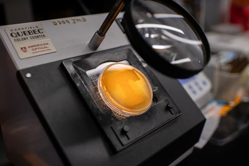 myers-tyler-lab-800x533-4 An orange substance in a petri dish forms the Power T.