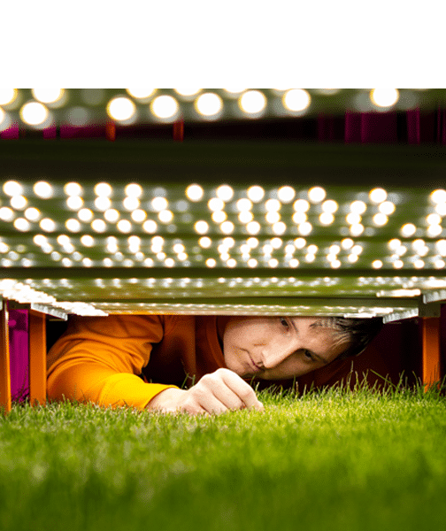 A student conducts turfgrass research.