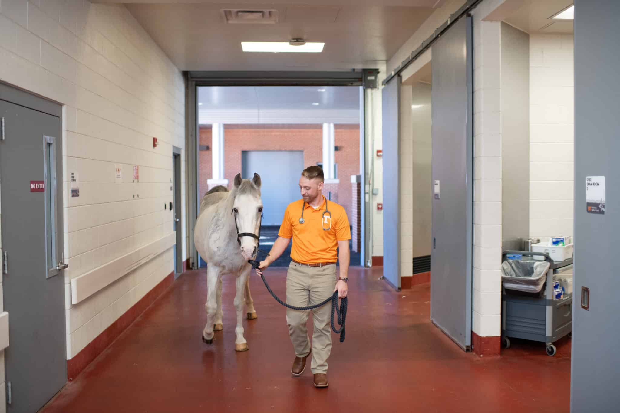 Davis Dunn holding a horse