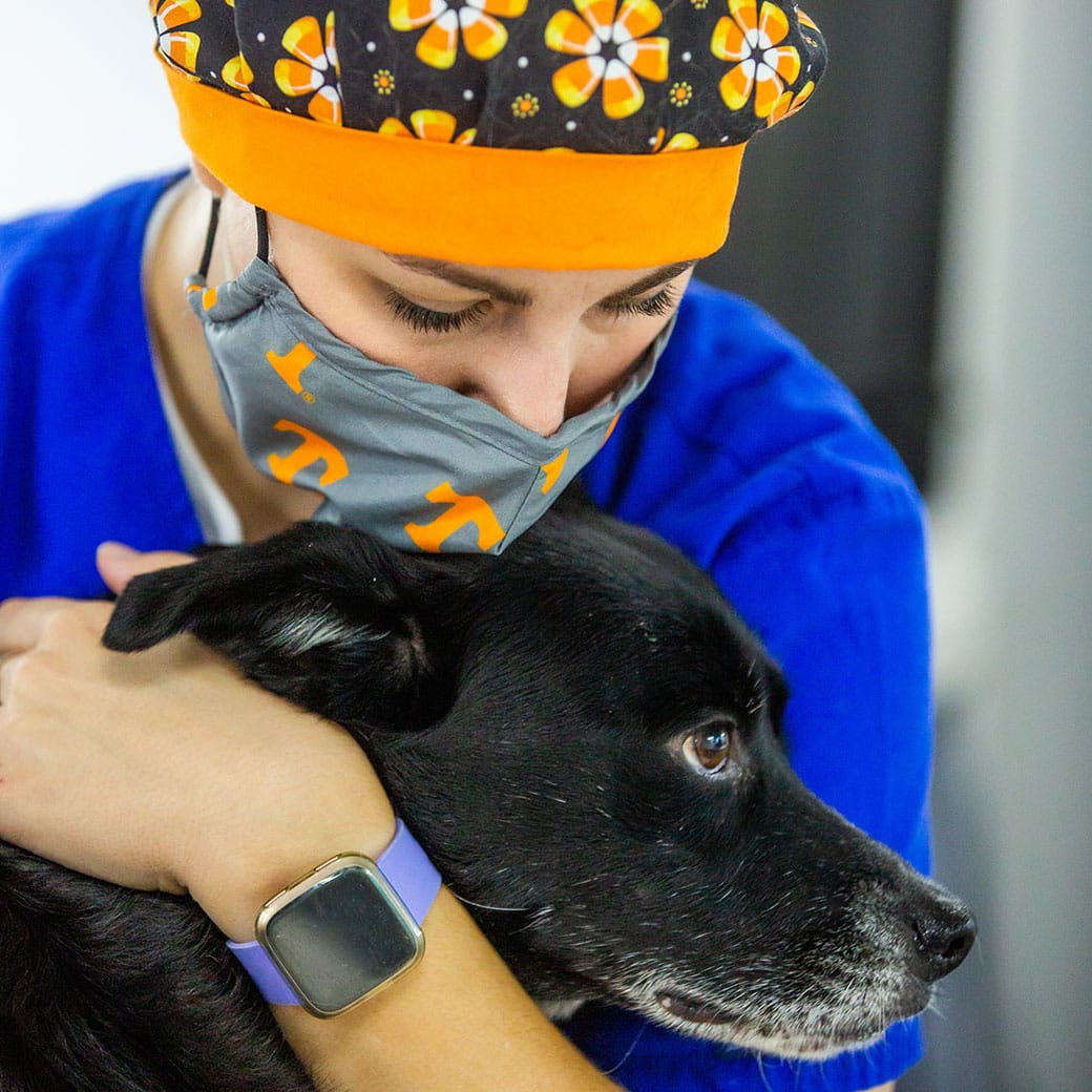 Person in vet scrubs holding a black dog