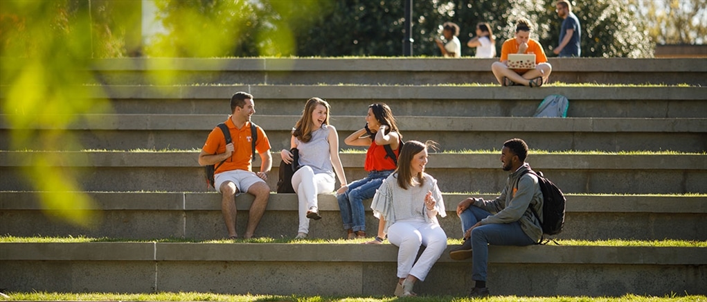 Students on the steps of the amphitheatre