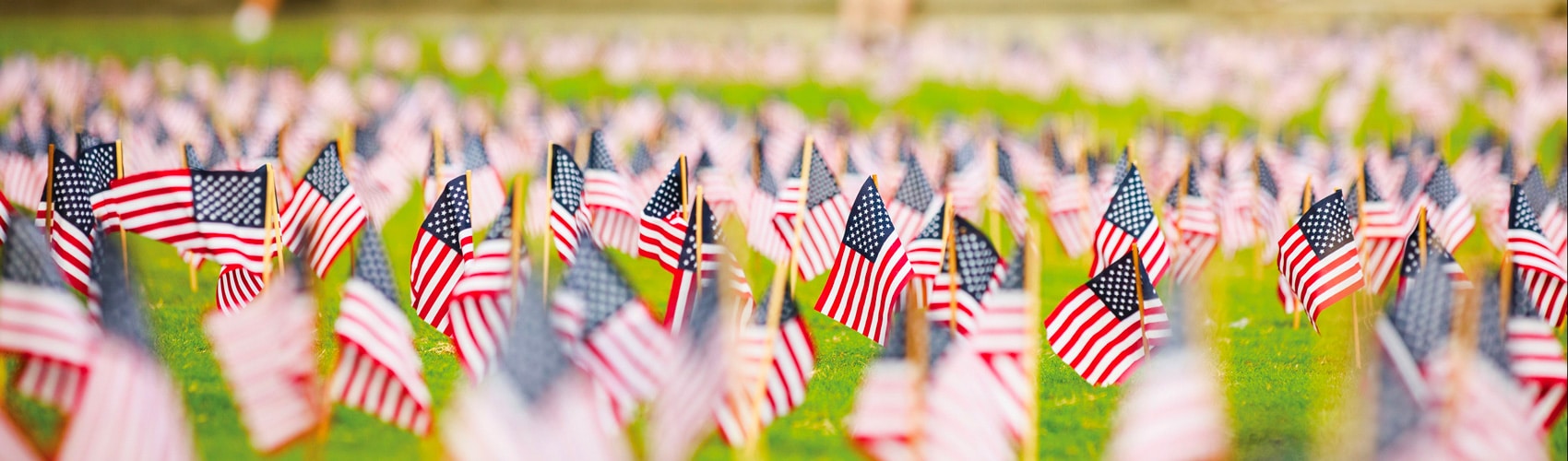 Hundreds of American flags in the lawn of the Humanities Ampitheatre